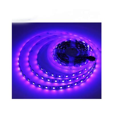 China Hotel Smd 5050 5m 300leds 60leds/m Continuous Length Flexible Led Strip Light Side Emitting Micro Led Strip Light for sale