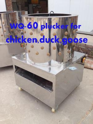 China WQ-60 POULTRY poultry plucker/chicken plucker for sale/used poultry plucker for sale