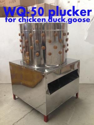 China POULTRY poultry drum plucker, automatic chicken plucker for sale, chicken plucker machine WQ-50 for sale