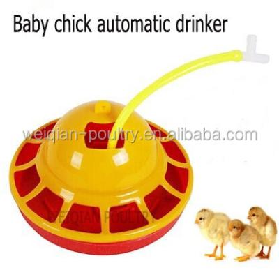 China Automatic Baby Chicks Drinker, Automatic Chicken Drinker, Automatic Poultry Nipple Drinker 12 Chicks for sale