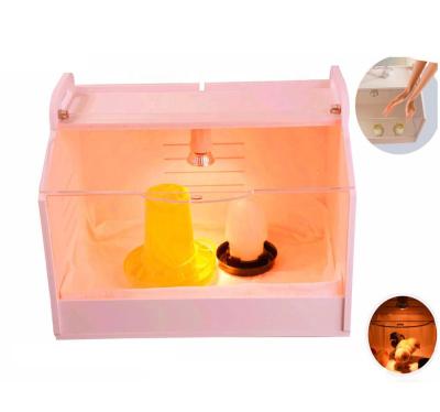 China Constant-temperature poultry chick brooder,chick brooder for sale,quail,bird brood box poultry chicken brooder for sale