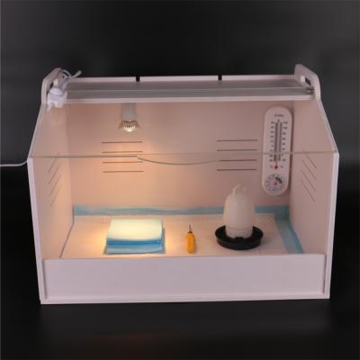 China WQ-BR1 Mini Poultry Constant-temperature Incubator with constant-temperature function for babies for sale