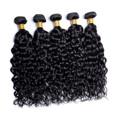 China 12a Grade 12a Brazilian Virgin Hair Water Wave Deep Wave Hair Water Wave Hair Extensions for sale