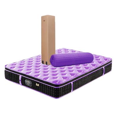 China Rolled Up Rolled Up Purple Queen Bed Mattress Sample In A Box for sale