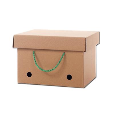 China Recyclable Customized Strong Cardboard Paper Cardboard Gift Box For Packaging for sale