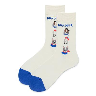 China Factory Directly Youth Sports Cotton Production Technology Antibacterial Breathable Sock Cotton Socks for sale