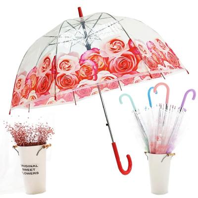 China POE Coastal Clear Dome Upright Transparent Umbrella With Customized Logo for sale