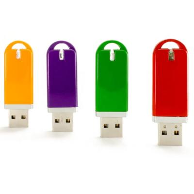 China 1GB USB Flash Drive 2gb 8gb Plastic Flash Lighter USB Memory Stick Custom Bulk Cheap Plastic With Pantone Color for sale