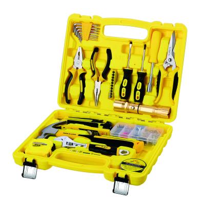 China Convenient 43PCS Owner's Tool Kit for sale