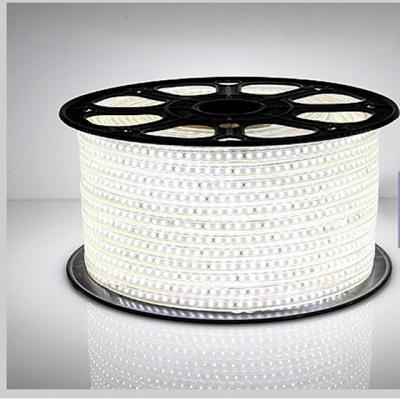 China Light Strings Waterproof IP65 Led Strip SMD5050 AC220V 60 Flexible Led Strip Light Outdoor Garden With EU Plug Festival Decoration for sale