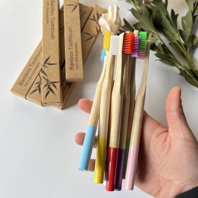 China Custom Toothbrush 360 Round Shape Bamboo Toothbrush BPA Free Handle Adult Nylon Toothbrush Toothbrush for sale