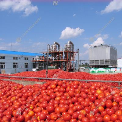 China Tomato Powder Processing Turnkey Solution For Tomato Powder Machine Tomato Powder Processing Line for sale