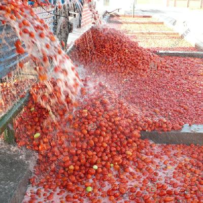 China Tomato Powder Processing High Efficiency Tomato Powder Processing Line Tomato Processing Machinery for sale