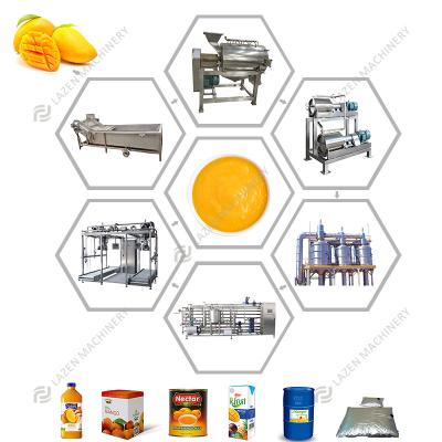 China Juice Pulp Making Machine Mango Factory Supply Mango Plant Processing Line Tropical Fruit Production for sale