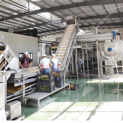 China High Eefficient One-Stop Solution for Mango Strawberry Juice Pulping Making Machine Industrial Mango Pulp Production Line for sale