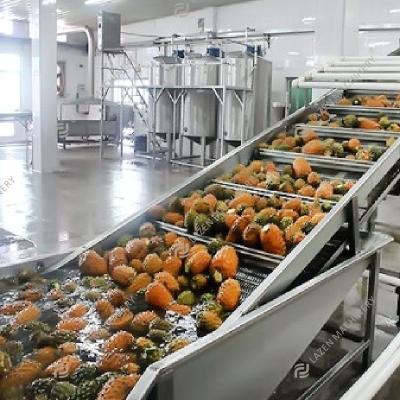 China High quality fruit processing plant pineapple juice production line stable performance pineapple juicer machine for sale