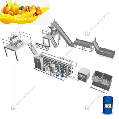 China Full Automatic Fruit Processing Plant PET Bottle Concentrated Pineapple Juicer Hot Filling Machine Production Line for sale