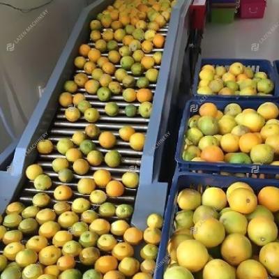 China Industrial Orange Fruit Processing Plant New Product Citrus Processing Line Juice Making Line for sale