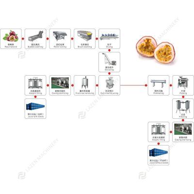 China High Quality Processing Line Passion Fruit Pulp Juice Passion Fruit Pulp Plant Passion Fruit Pulp Plant for sale