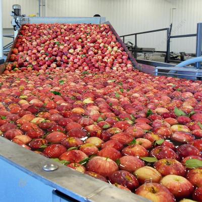 China Fruit Apple Juice Filling Machine Complete Concentrated Production Line Apple Pear Processing Line Processing Equipment Liquid for sale