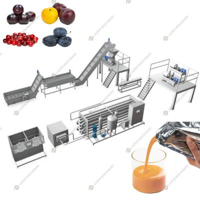 China Processing Line Fruit Juice Jam Concentrate Production Line Turnkey Solution Apricot Plum Peach Apricot Hot Sale Peach Plum Processing Line for sale