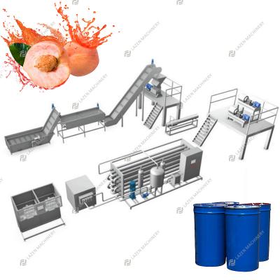 China High Productivity Peach Mango Peach Apricot Plum Peach Apricot Plum Juice Pulping Processing Machine Fruit Pulping Processing Machine for sale