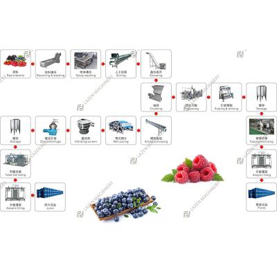 China Processing Line Hot Sale Fruit and Vegetable Processing Machine Berry Processing Line for sale