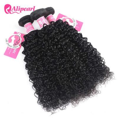 China Kroezige Krullend/Jerry Curly Malaysian Virgin Hair bundelt Geen het Afwerpen Geen Luizen Te koop