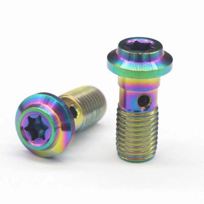 China Motorcycle Electric Vehicle M10X1.25 Brake Tube Oil Inlet Screw 304 Stainless Steel Hex Screw for sale