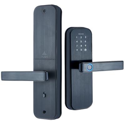 China High Security TT BLE Home App Smart Lock Biometric Office Apartments Hotel Fingerprint Door Lock Biometric Electric Smart Door Lock for sale