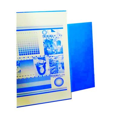 China POSITIVE positive ctcp printing plate UVCTP plate for sale