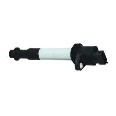 China Auto Parts Ignition Coil Use For LADA Russian Parts OEM 2112-3705010-10, 0221504461, 0221504473 110 110 for sale