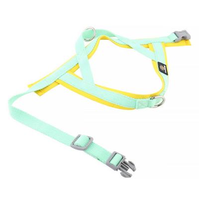 China Adjustable Dog Leash Premium Quality Cotton Dog Collar Adjustable Leash Harness Set With Customized LOGO IFPL-021 for sale