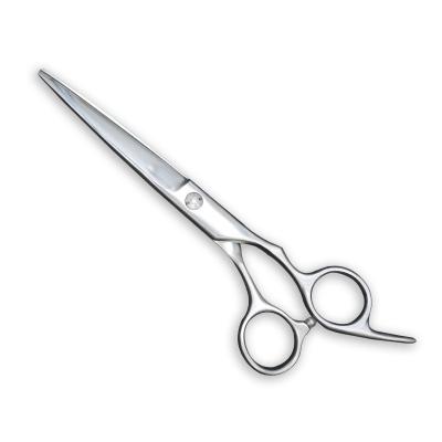 中国 6807-65 Professional stainless steel 6.5 inch hair cutting beauty scissors 販売のため