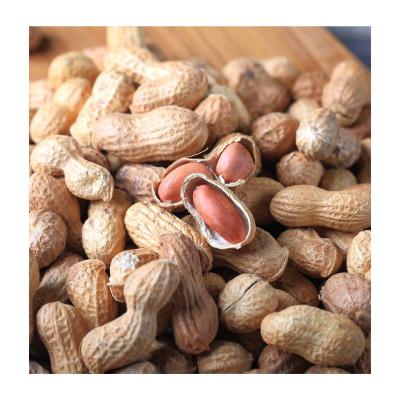 China Dried Bags of Peanuts Nut and Shelled Peanuts Kernel, Roasted and Salted Peanut Peanut for sale