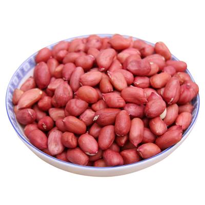 China Rich Organic Protein Dried Raw Shelled Peanuts In Various Packing From Uzbekistan Manufacturer for sale