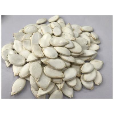 China 2020 New Chinese Edible Crop A Grade Snow Fresh White Pumpkin Seeds for sale