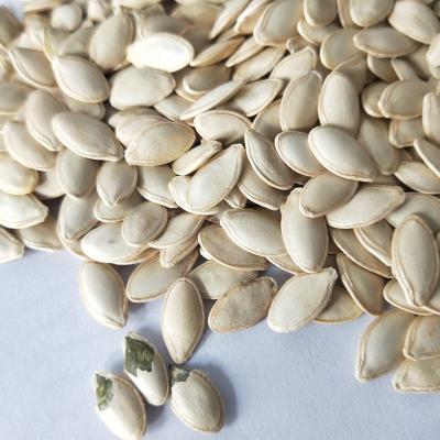 China Fresh Chinese Organic Pumpkin Seeds Kernel Snow White Sparkle Skin Grade AA Pumpkin For Sale for sale