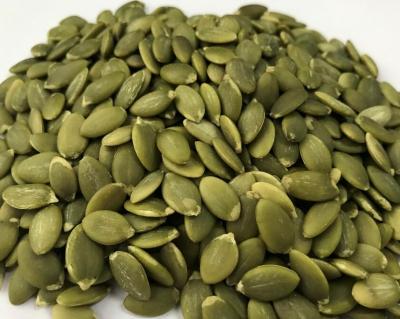 China Fresh Chinese Shine Peel / White Snow GWS Pumpkin Seed Kernels Grade AAA/AA/A for sale