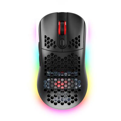 China Custom Gaming Ms954 Havit Logo Ergonomics Mouse Computer Usb Receiver Wired Gaming Mouse for sale