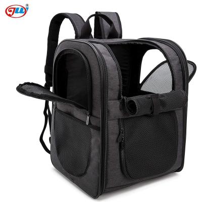 China Viable Stock Storage Quickly Deliver Tote Expandable Airline Approved Pet Carrier Backpack, Safety Features Cushion Back, Cat Backpack for sale