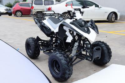 China 110cc,125cc ATV gas,4-stroke,single cylinder.air-cooled.Kill start,good quality for sale