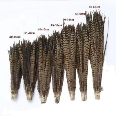 China Hot Sale Pheasant Feather Carnival Feather 35-40cm Chiefs Pheasant Tail Feathers for sale