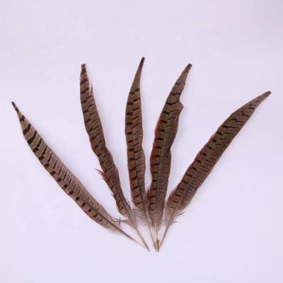 China BOYA Wholesale Stock Pheasant Feather Golden Supplier Chose Good Quality Natural 40-45cm Ringneck Pheasant Tail Feather for sale