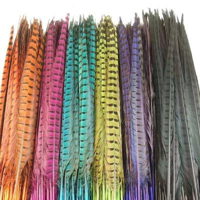 China Hot Selling Dance Party Carnival Feather 50-55cm Chiefs Pheasant Tail Feathers for sale