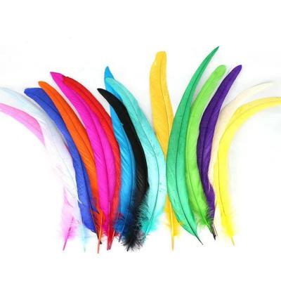 China Dance Party Factory Wholesale Chosen 25-30cm Bleached Dyed Rooster Tail Feathers For Costume And Carnival Samba Dance for sale