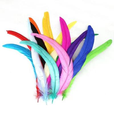 China Dance Party Factory Wholesale Chosen 35-40cm Bleached Dyed Rooster Tail Feathers For Costume And Carnival Samba Dance for sale