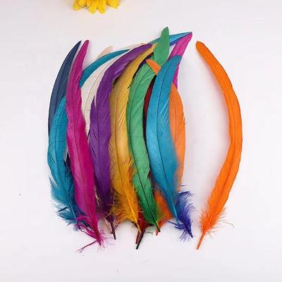 China Dance Party Factory Wholesale Chosen 30-35cm Bleached Dyed Rooster Tail Feathers For Costume And Carnival Samba Dance for sale