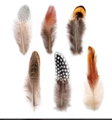 China 180pcs 6 Styled Dance Party Feathers Assorted Mixed Feathers For Dream Catcher Crafts for sale