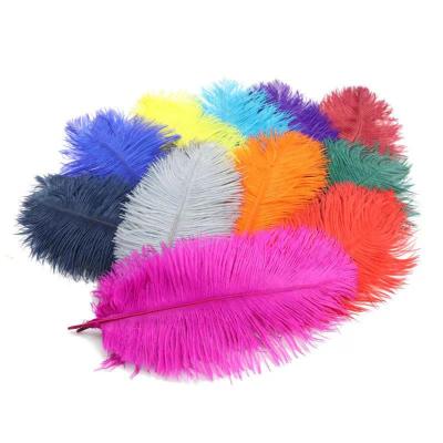 China Factory 20-25cm Wholesale Artificial Decor Feather Natural Ostrich Feathers Cheap To Wedding Decoration Colorful Feathers for sale